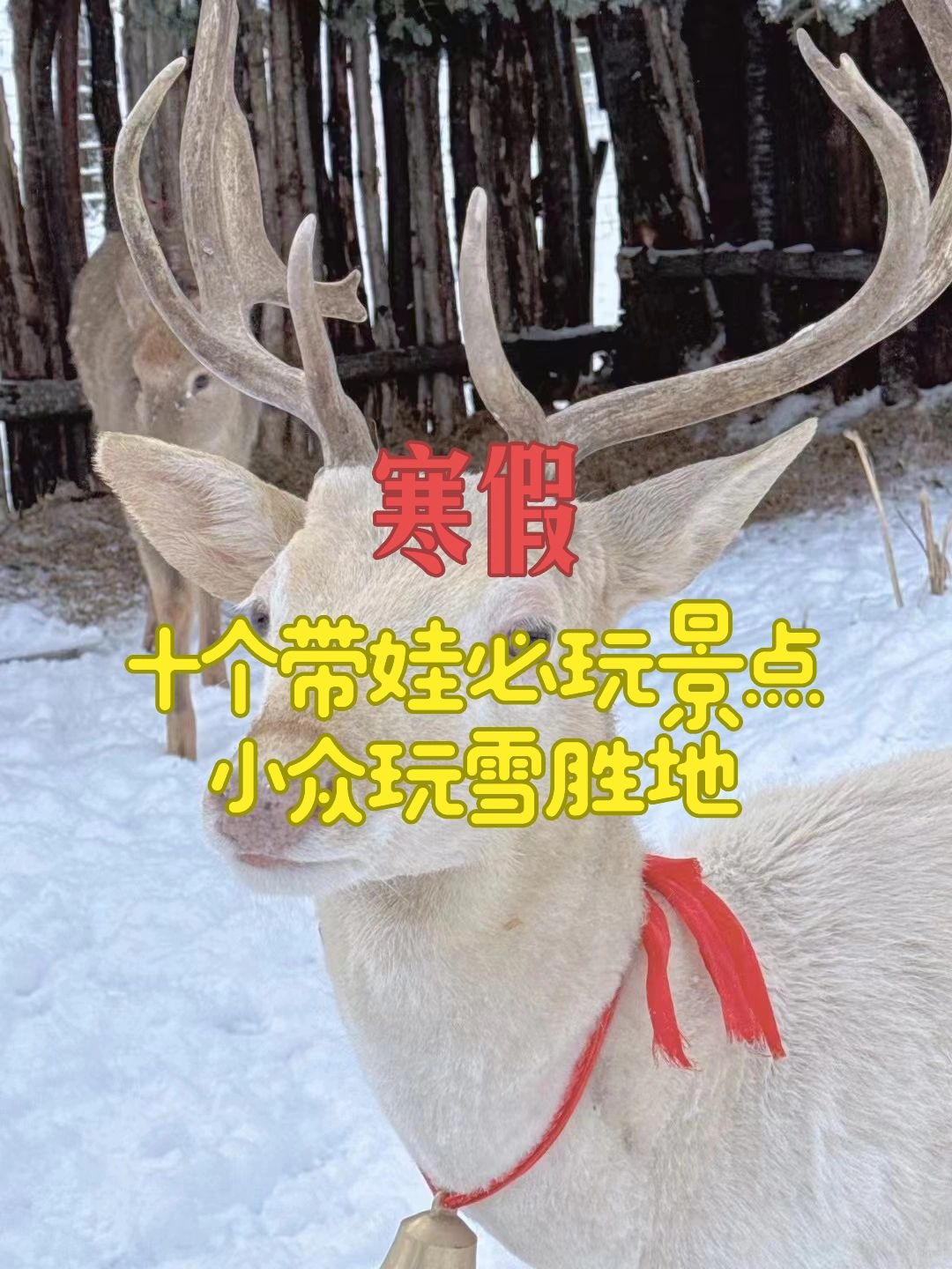 码住❗️连夜整理的十个哈尔滨平替玩雪胜地