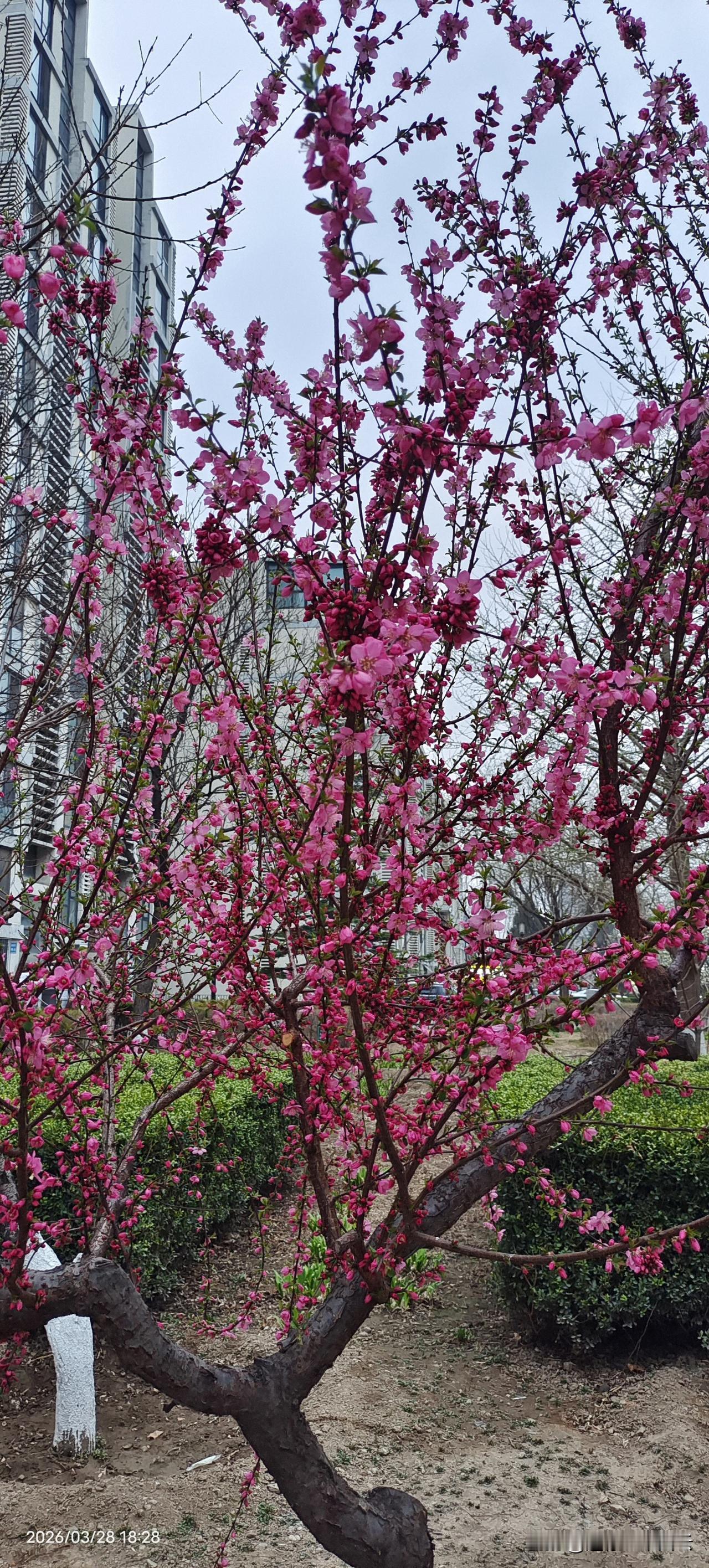 看不清前路的时候，就让自己的心停下来，去寻光，去找亮…

黑暗是暂时的，痛苦也是