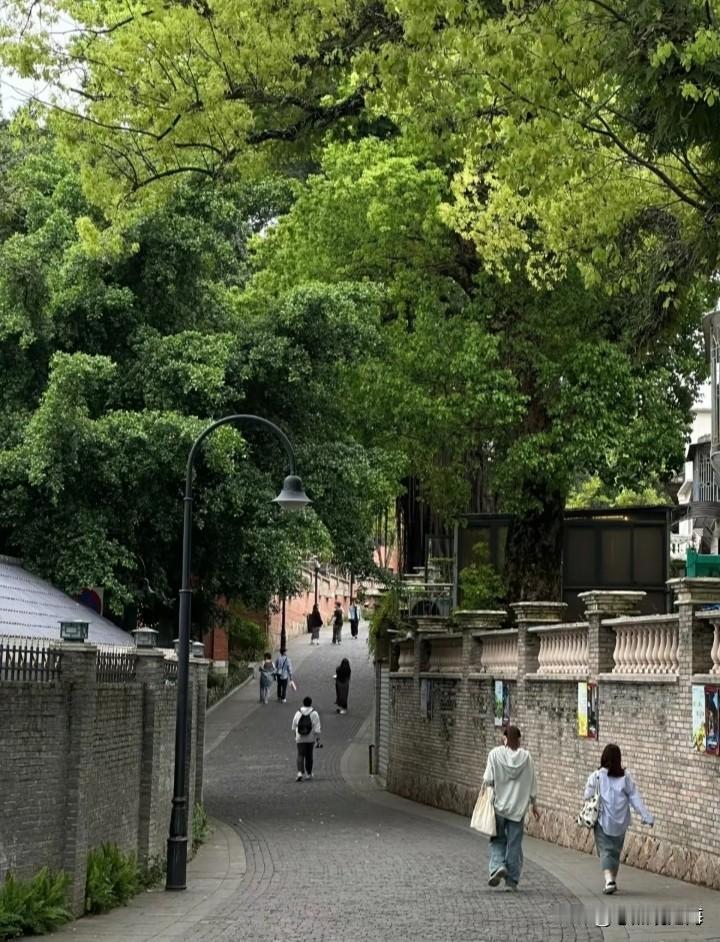 刷到这个新闻，我后背发凉

25岁准研究生异国离世，姐姐独自瞒住噩耗，这份沉默太