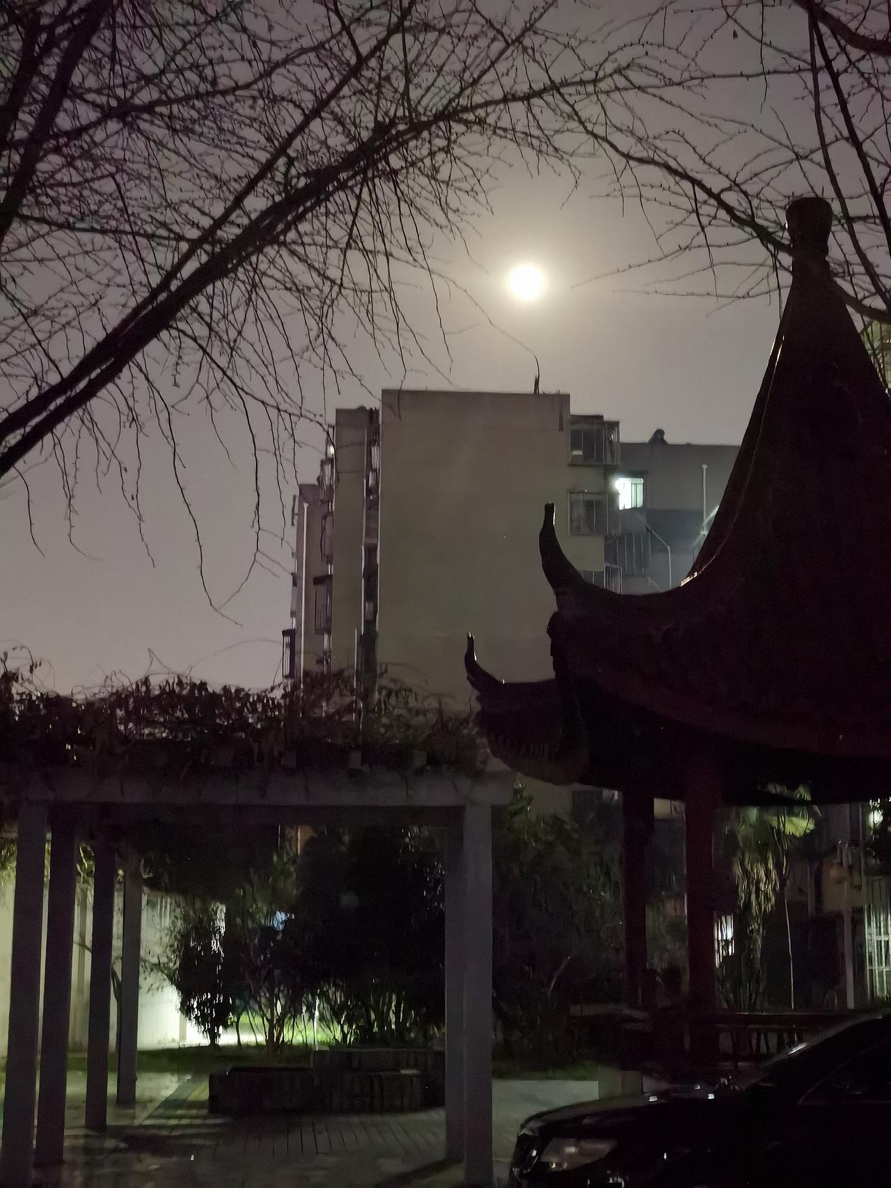 腊月十五，农历蛇年的最后一个月圆之夜，下一个三五日就是新一年的元宵节了，时间过得