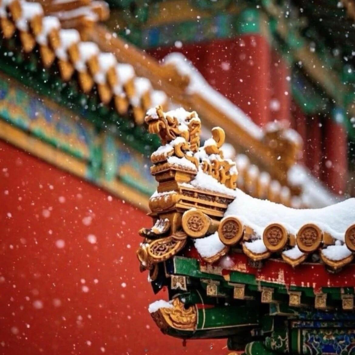 北京的今冬初雪来了，哪儿下的最大？北京下雪