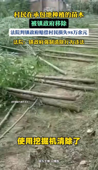 “有权就任性？！”江苏常州，一农户多年苦心栽种的上千株苗木，被综合执法部门的工作