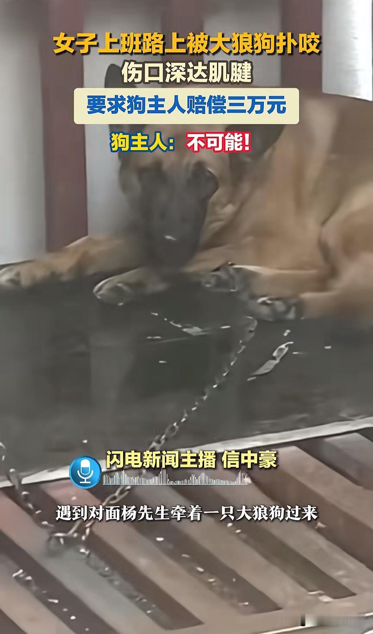 就被狗咬了一口就敢问我要三万！
不可能
据闪电新闻报道近日浙江一女子骑车上班途中