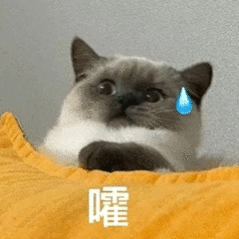 嚯，上来两三分