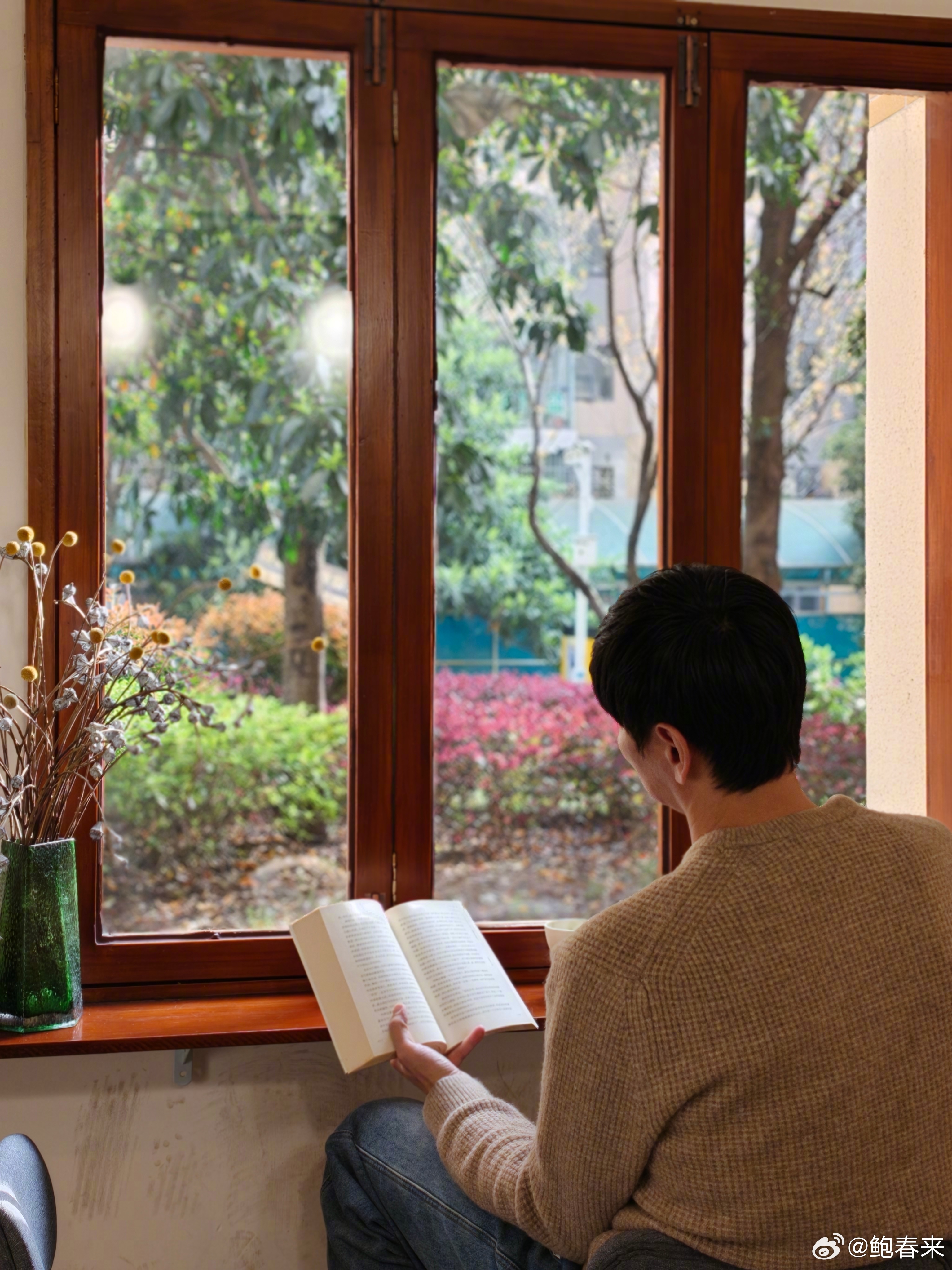 春日午后的慢生活☕️清明节踏青寻春色鲍春来