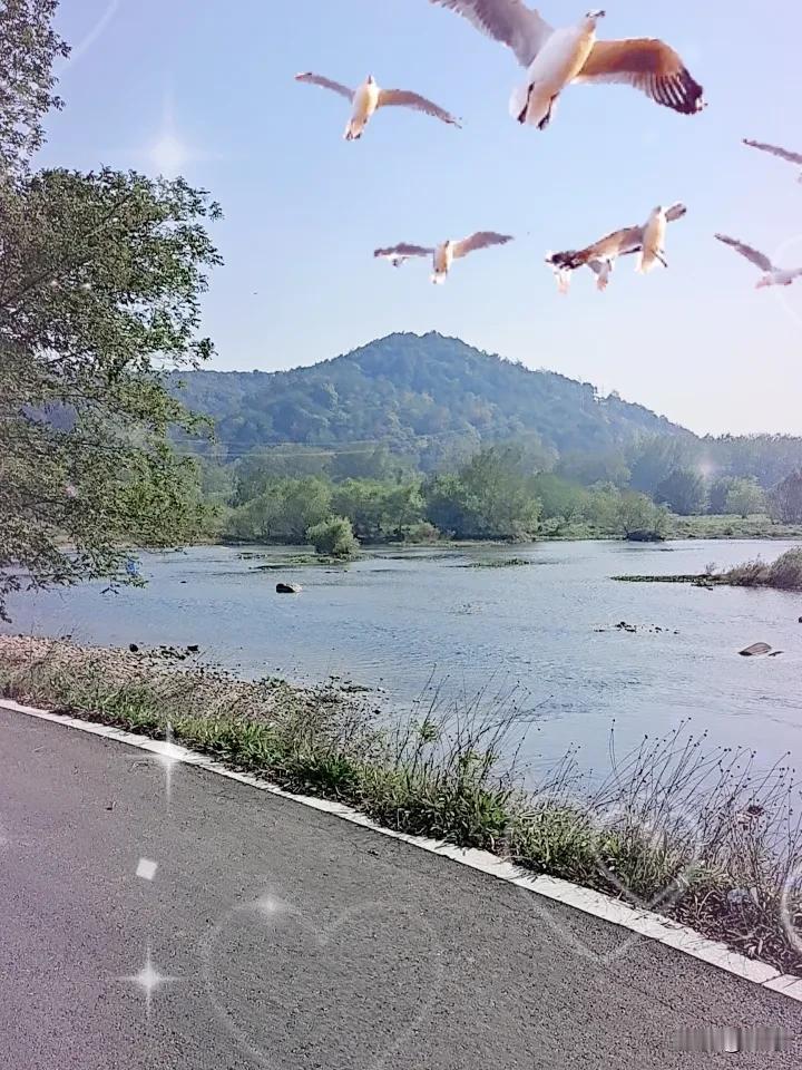 浙江江山市江山港清湖骑行道随拍图