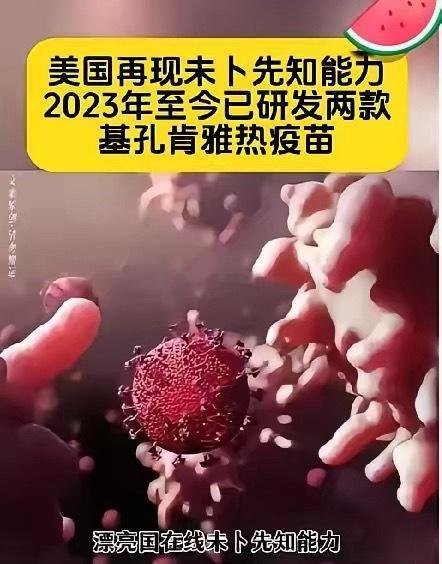 全球已近30万人感染基孔肯雅热在2019年之前，美国曾经有过基孔肯雅热病例，但美