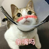 蜜呆逛逛体育