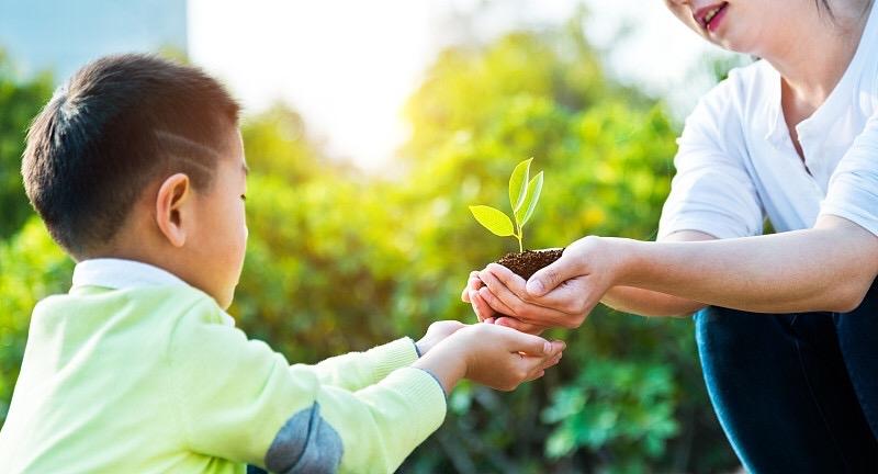 刷到就是天意，你家孩子，前路皆坦途

能点开这篇，是福气，也是一份专属的好运加持