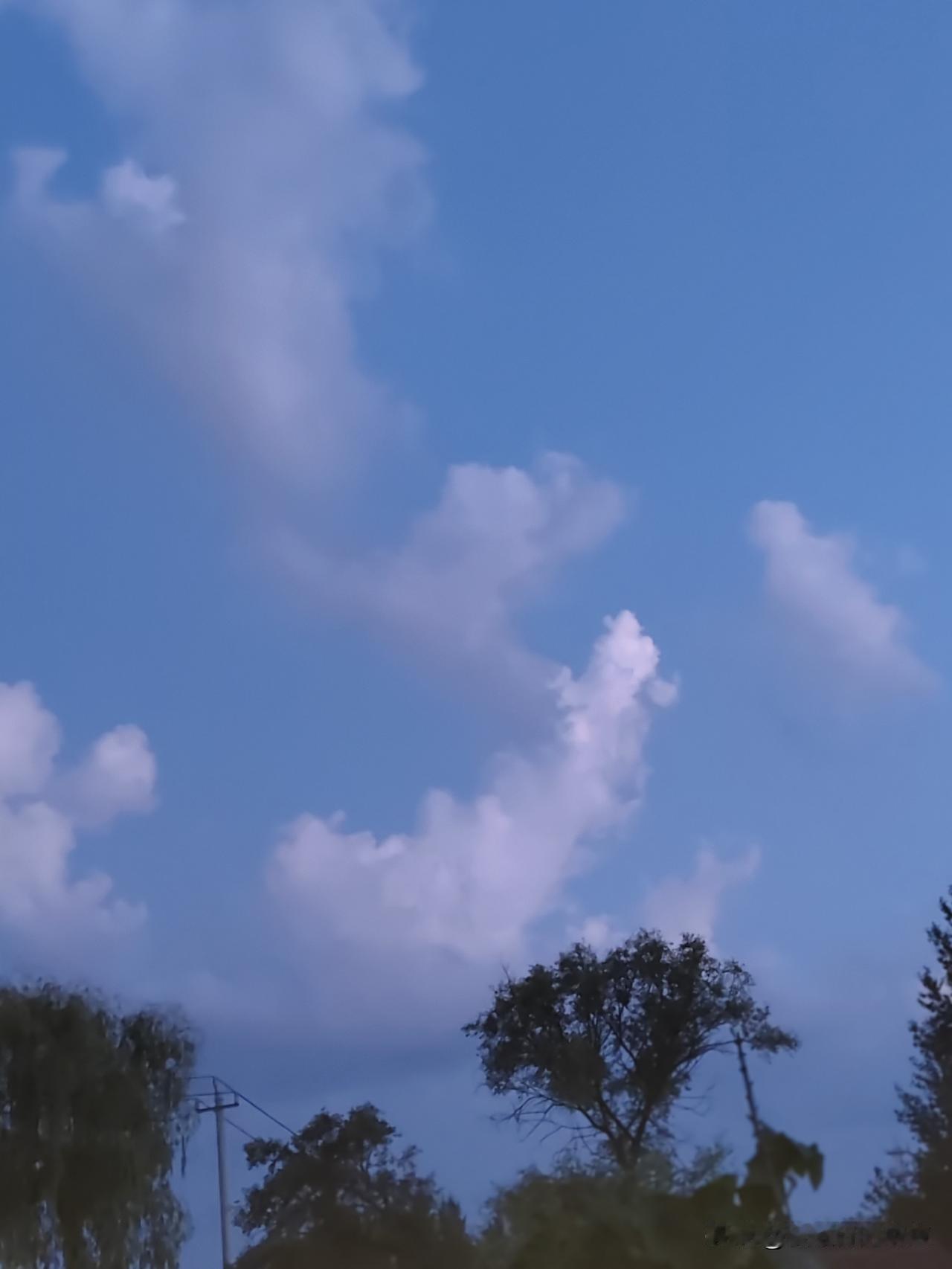 晒图笔记大赛夏天傍晚的云，悄悄地和树木呢喃着...