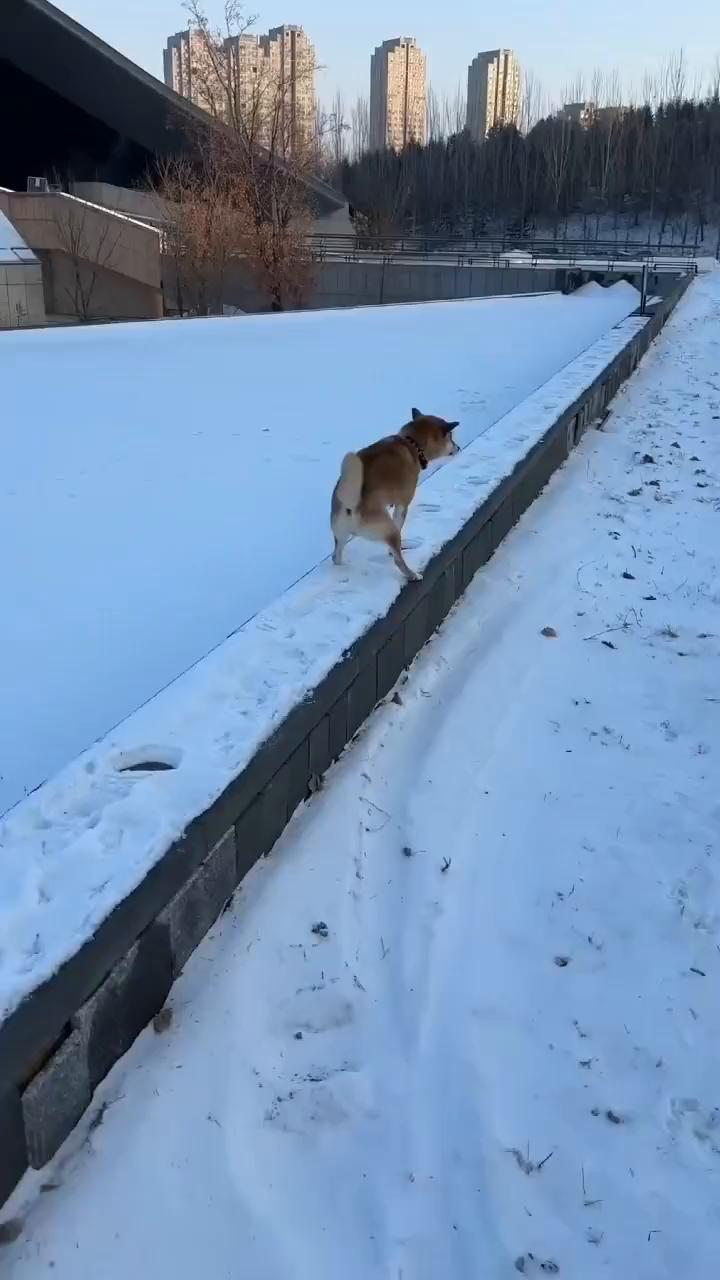 这波操作都看傻了。