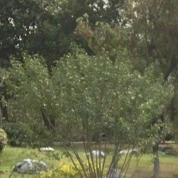 #阳光信用[超话]#求而不得是常态，不圆满是生活，所求飞所得，并非失败，定时以另