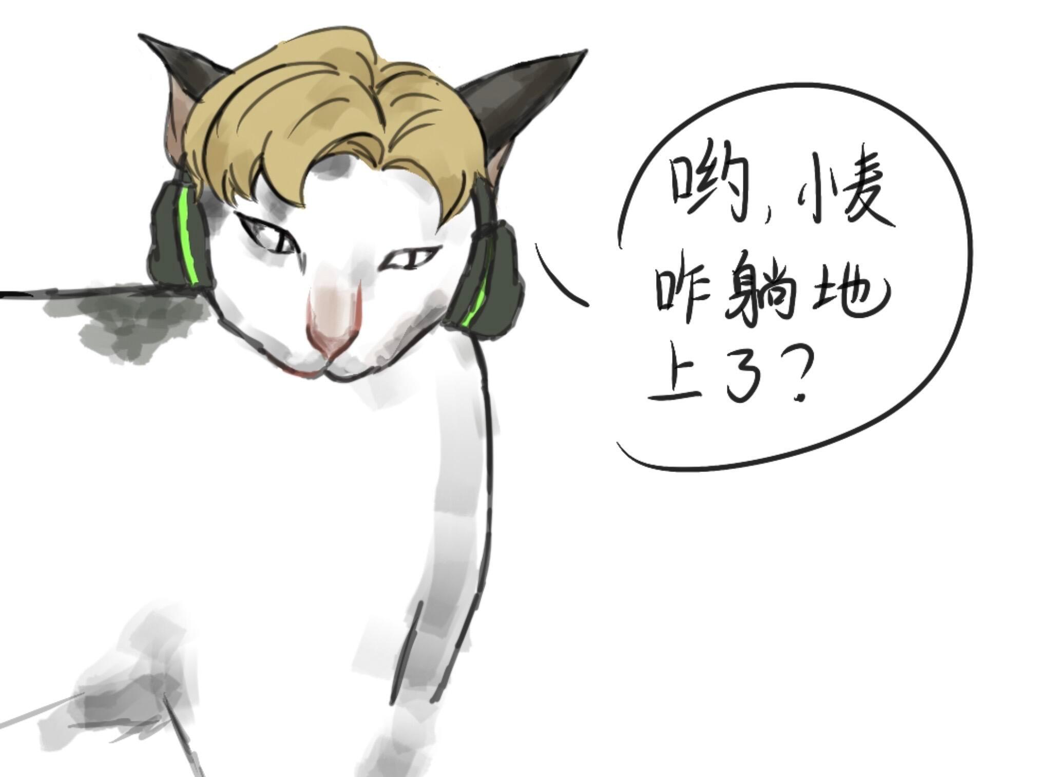 三角洲行动蜂之陨落三角洲行动 ​​​