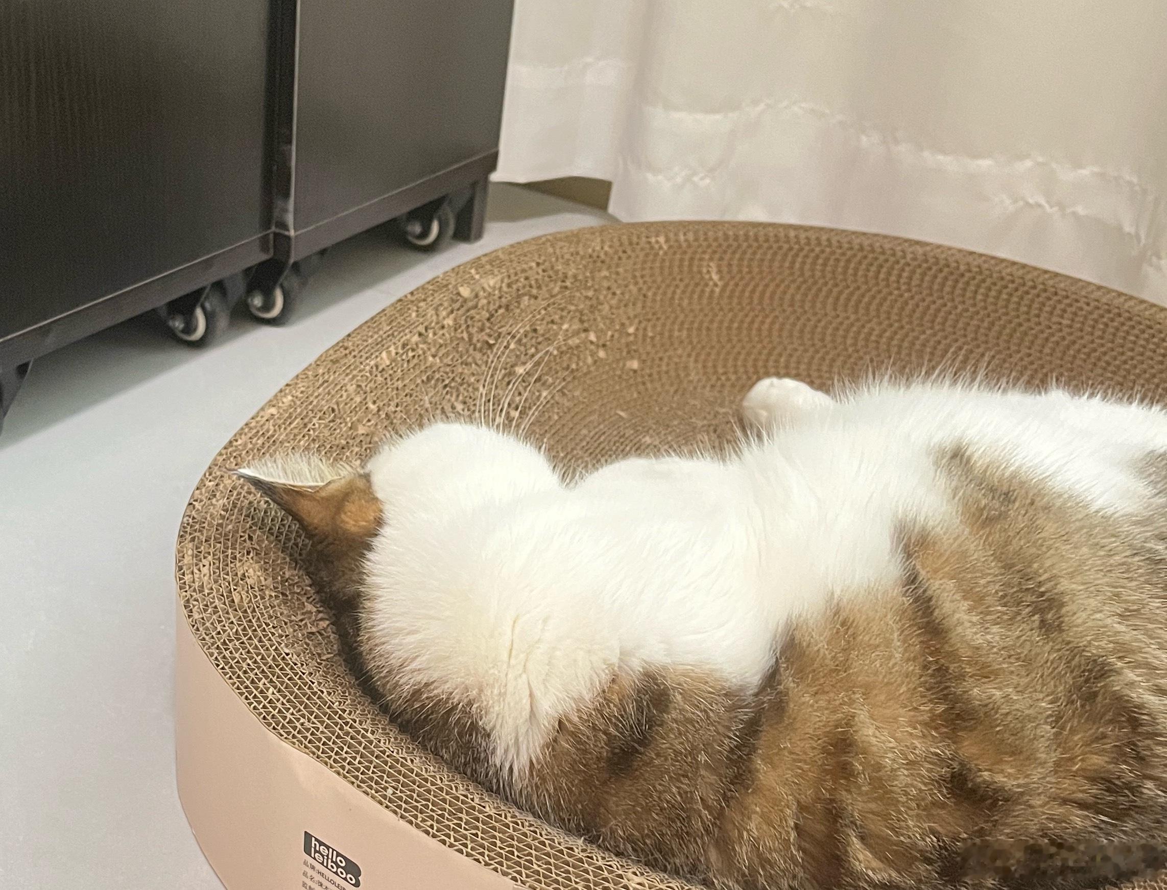 这么圆 