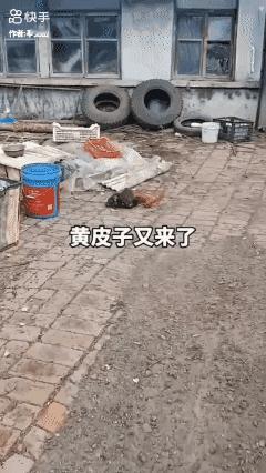 快走吧，再别来了，惹不起你！[泣不成声]