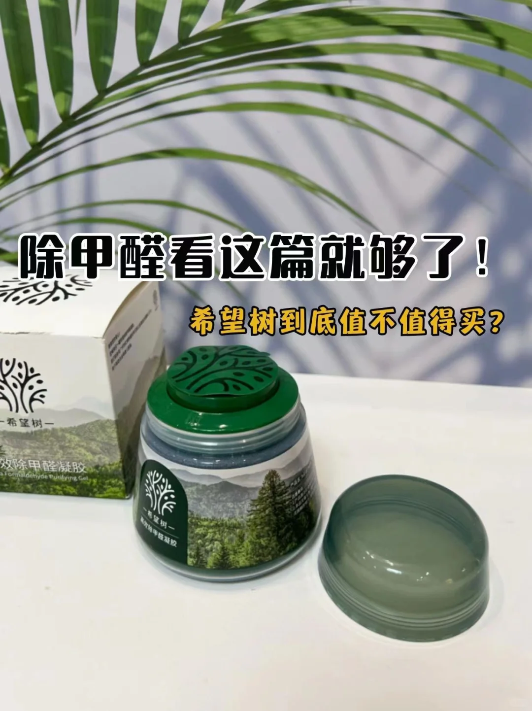 除甲醛而已，一罐希望树的事儿😅