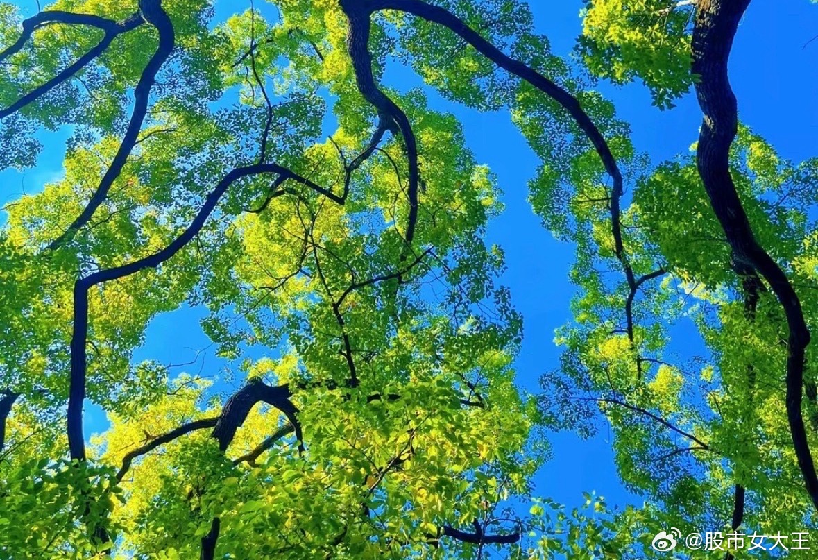 大部分板块和个股到收盘依然没有短线止跌，顺延到明天上午11点30会确认短线止跌。