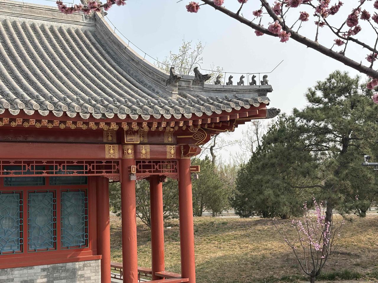 退休后旅游的几点忠告
第一，不要找崎岖不平、磕磕绊绊的小地方了。要去大城市，找个