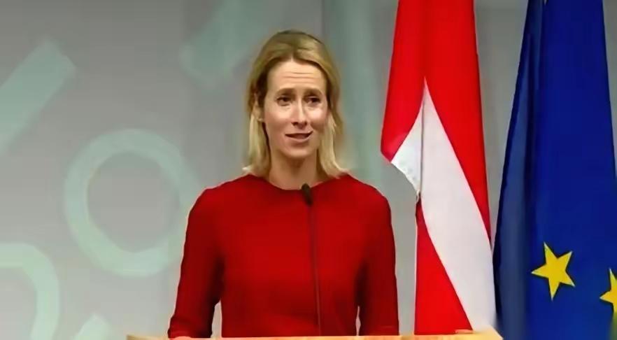 欧洲人一开会，开口闭口就是中国威胁论，为啥？因为只有诬陷中国才能讨好美国爹，才能