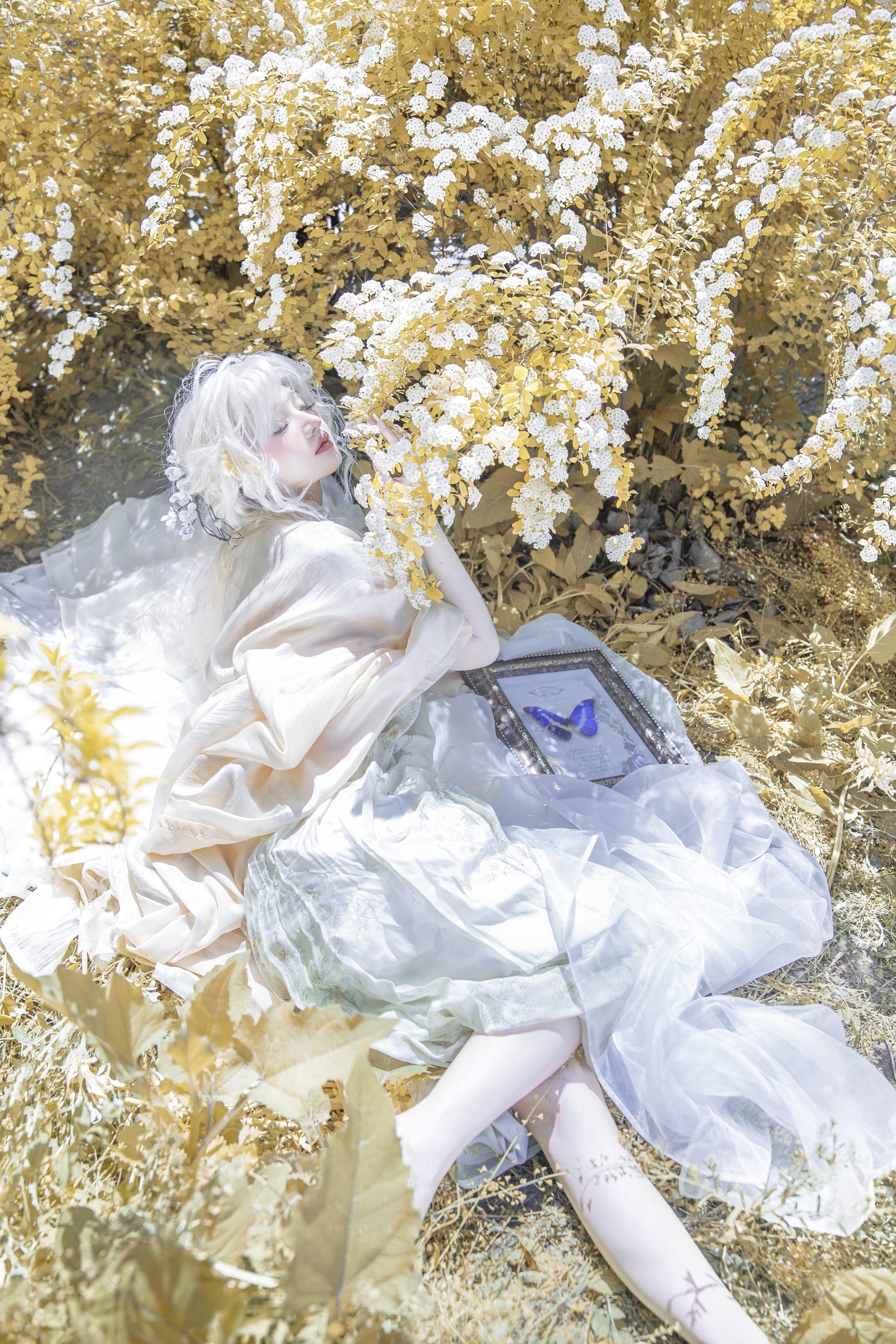 金色海洋🦋。
