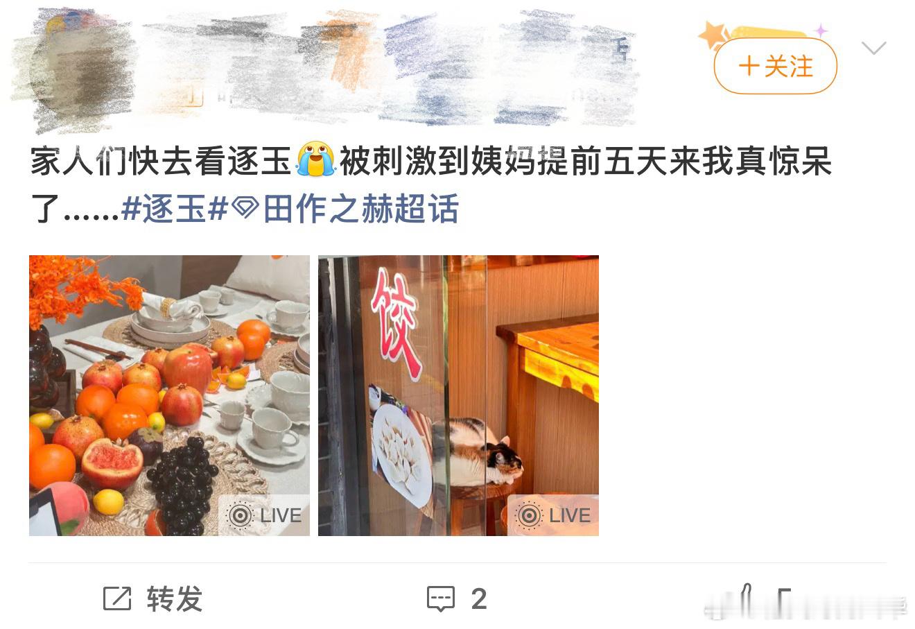 逐玉我的电子老中医 《逐玉》是懂调理的！看完脸红红气色好，连内分泌都给治了～谢征