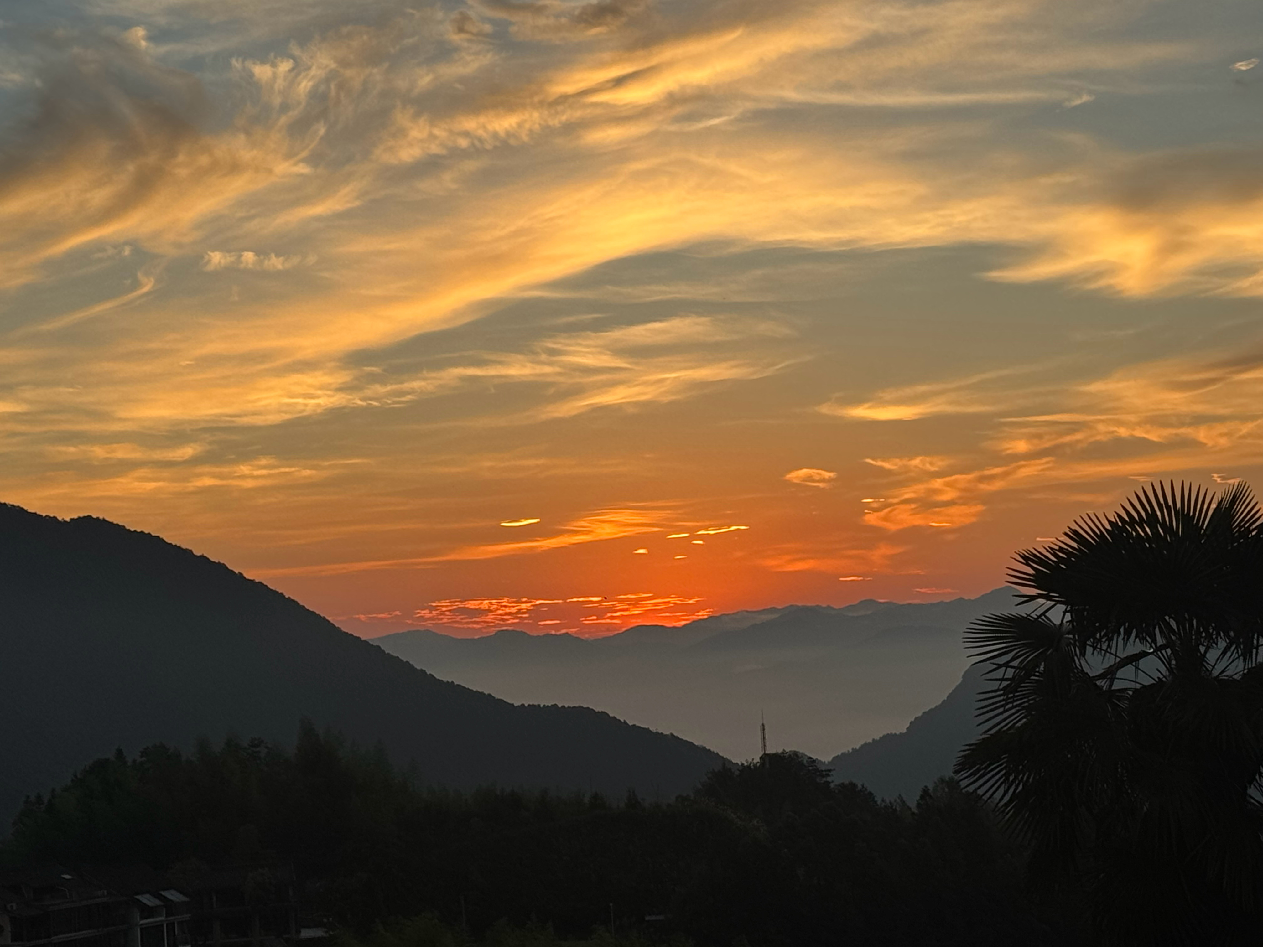 周周想念然Tz  🌅 