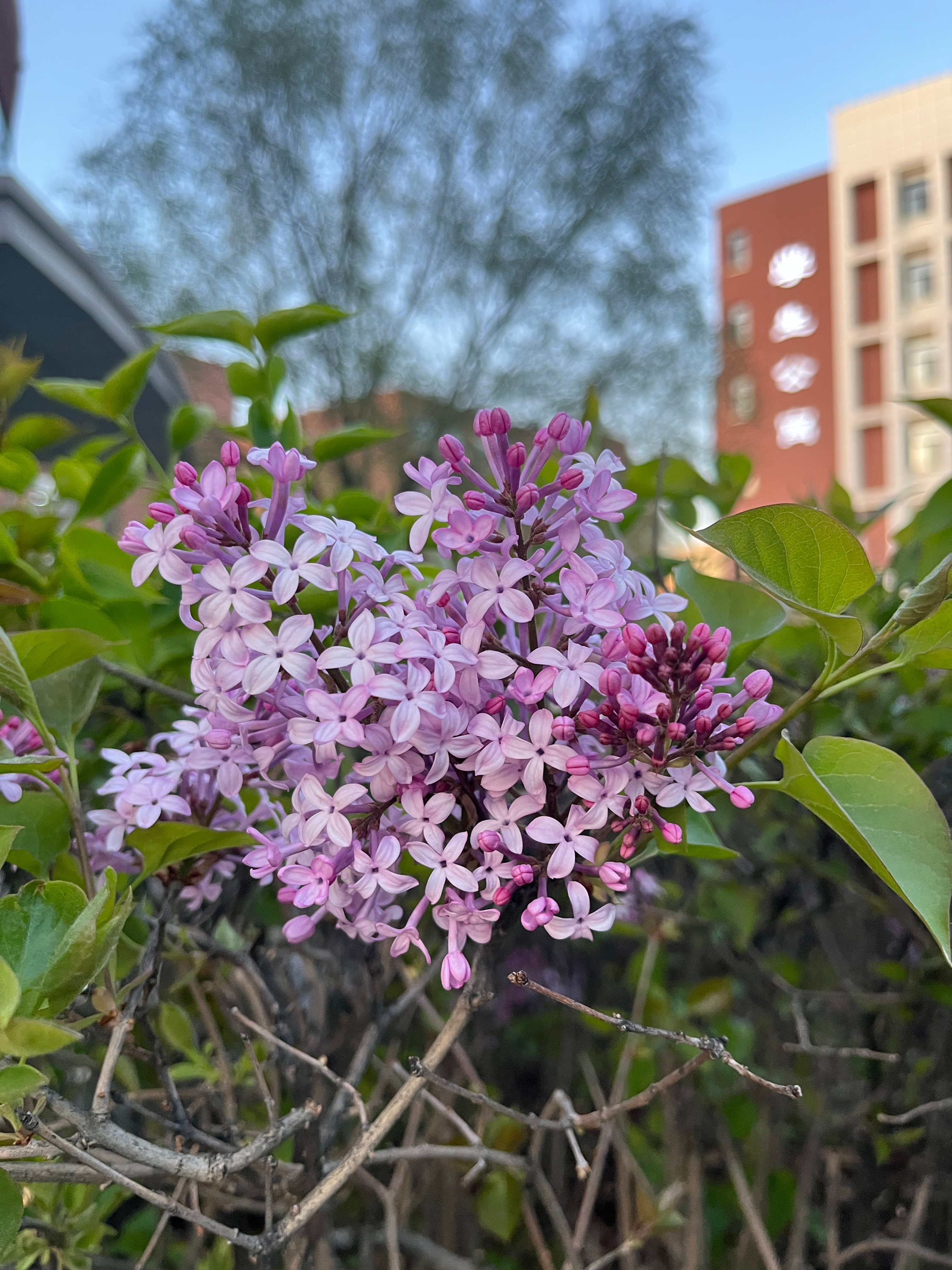 💐  ​​​