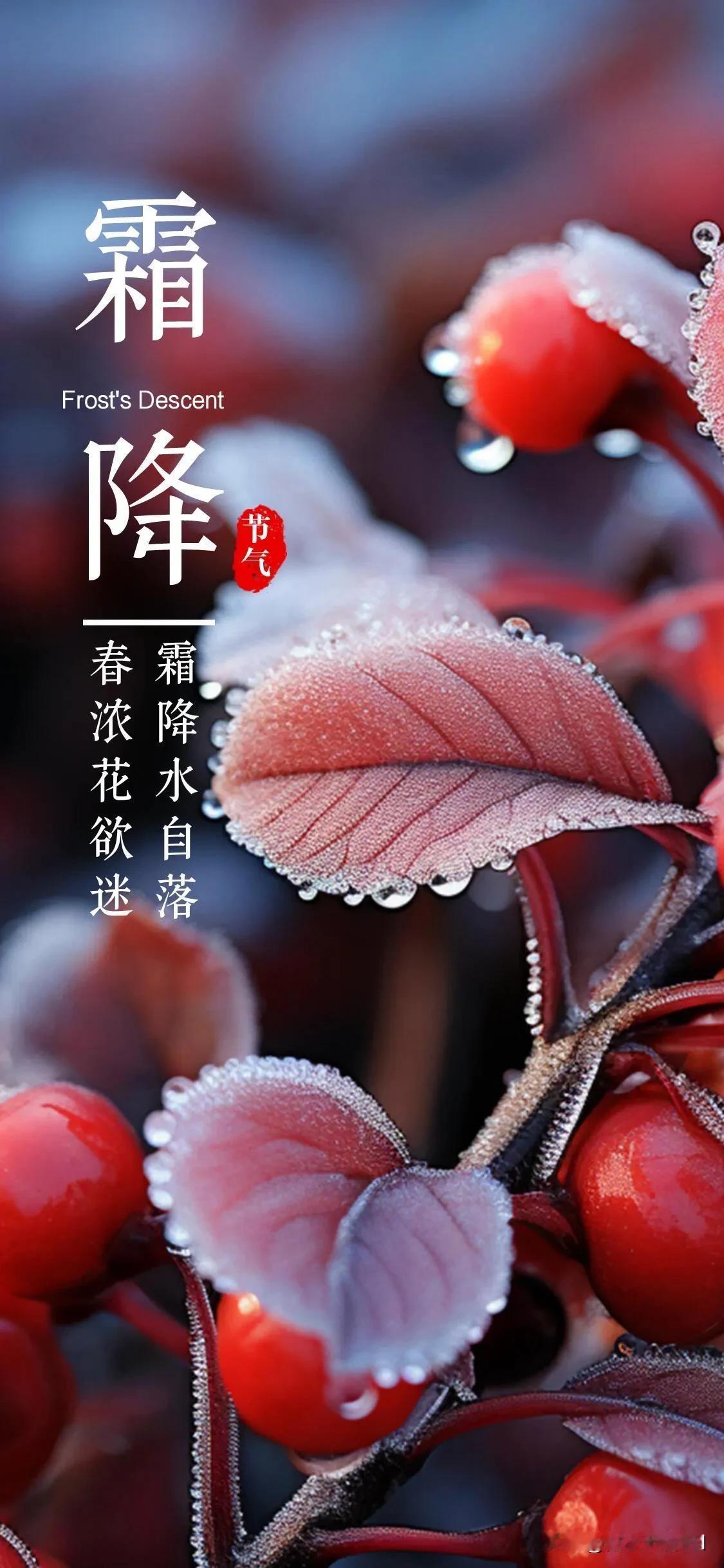 #秋日生活打卡季#
今天是10月23日，农历九月二十一，早安陌生人，春光不必趁早