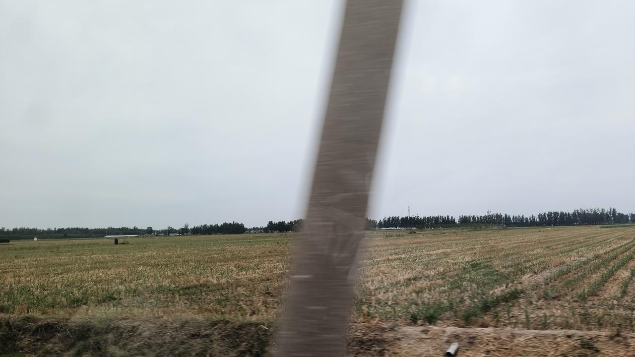 提到聊城沙镇，大家可能首先想到的是那口香喷喷的“沙镇呱嗒”，但如今在这片充满烟火