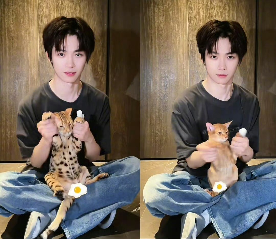 梓渝手受伤了自己给粉丝拍的小综艺想发什么发什么就喜欢这种小日常，有些人回家继续擦