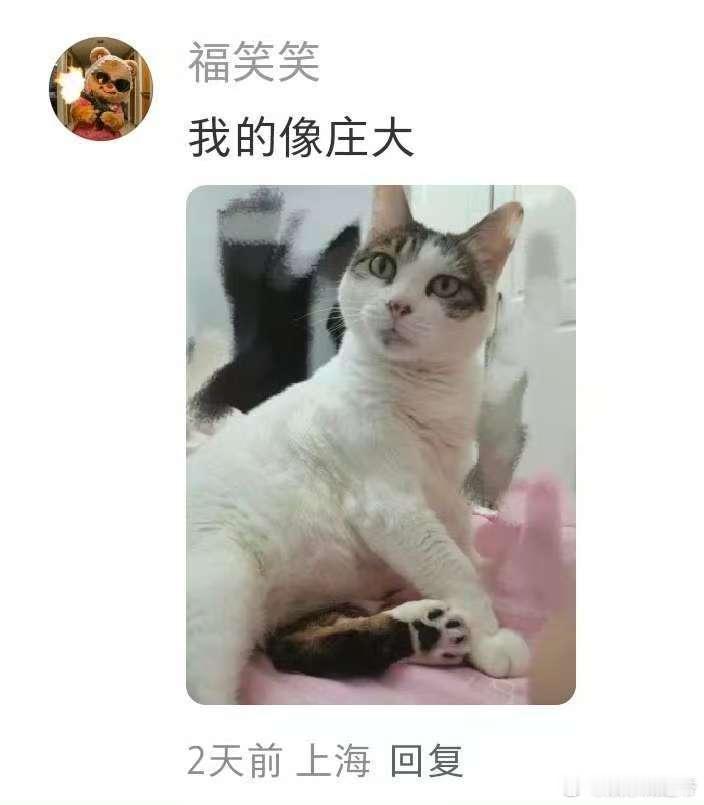 我家猫长得像褚怀明 救命！我家猫揣手手的样子，和褚怀明抱臂沉思的神态完美复刻！小