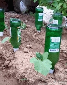 这是谁想到的 
