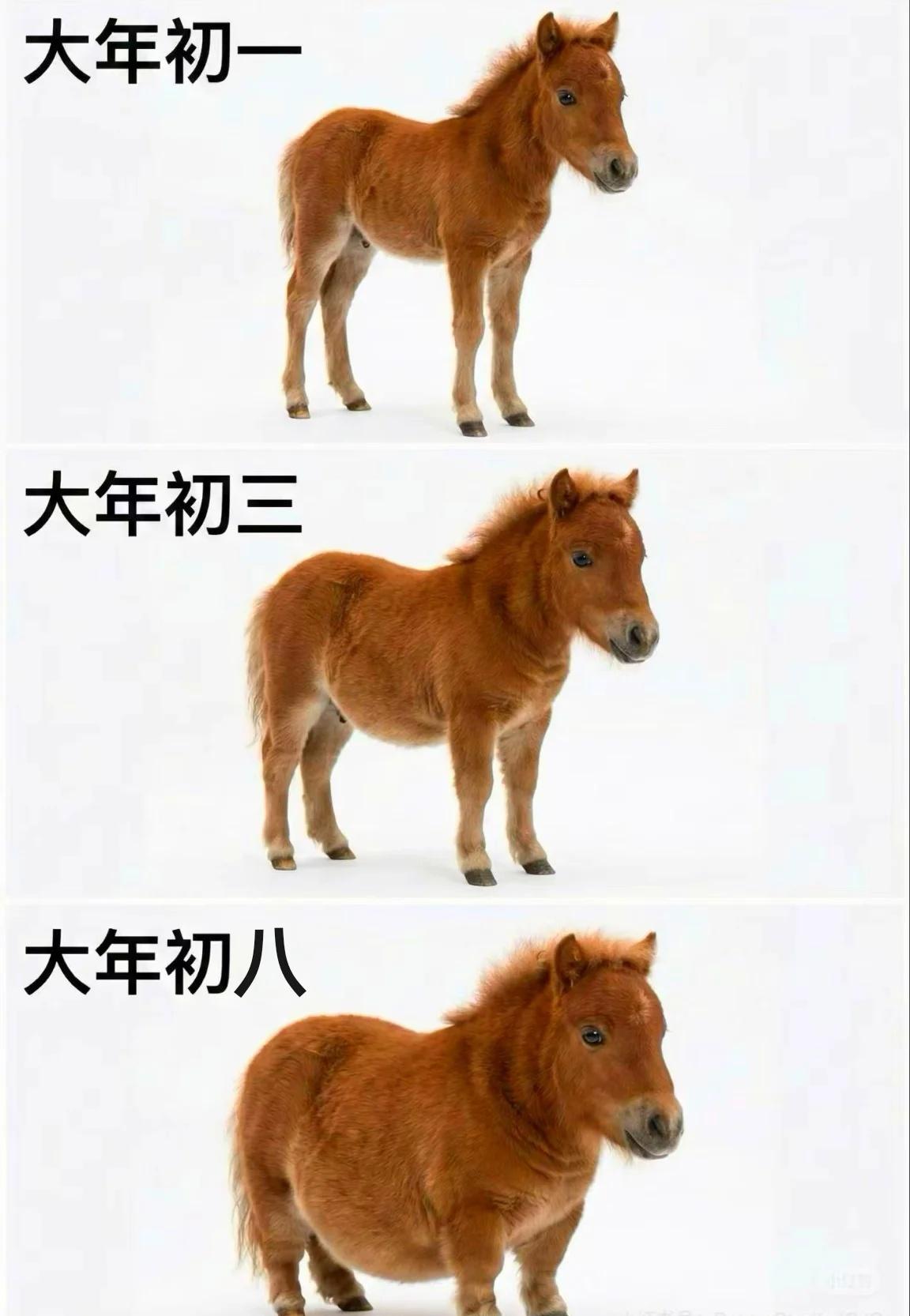 过年后体重多了吗