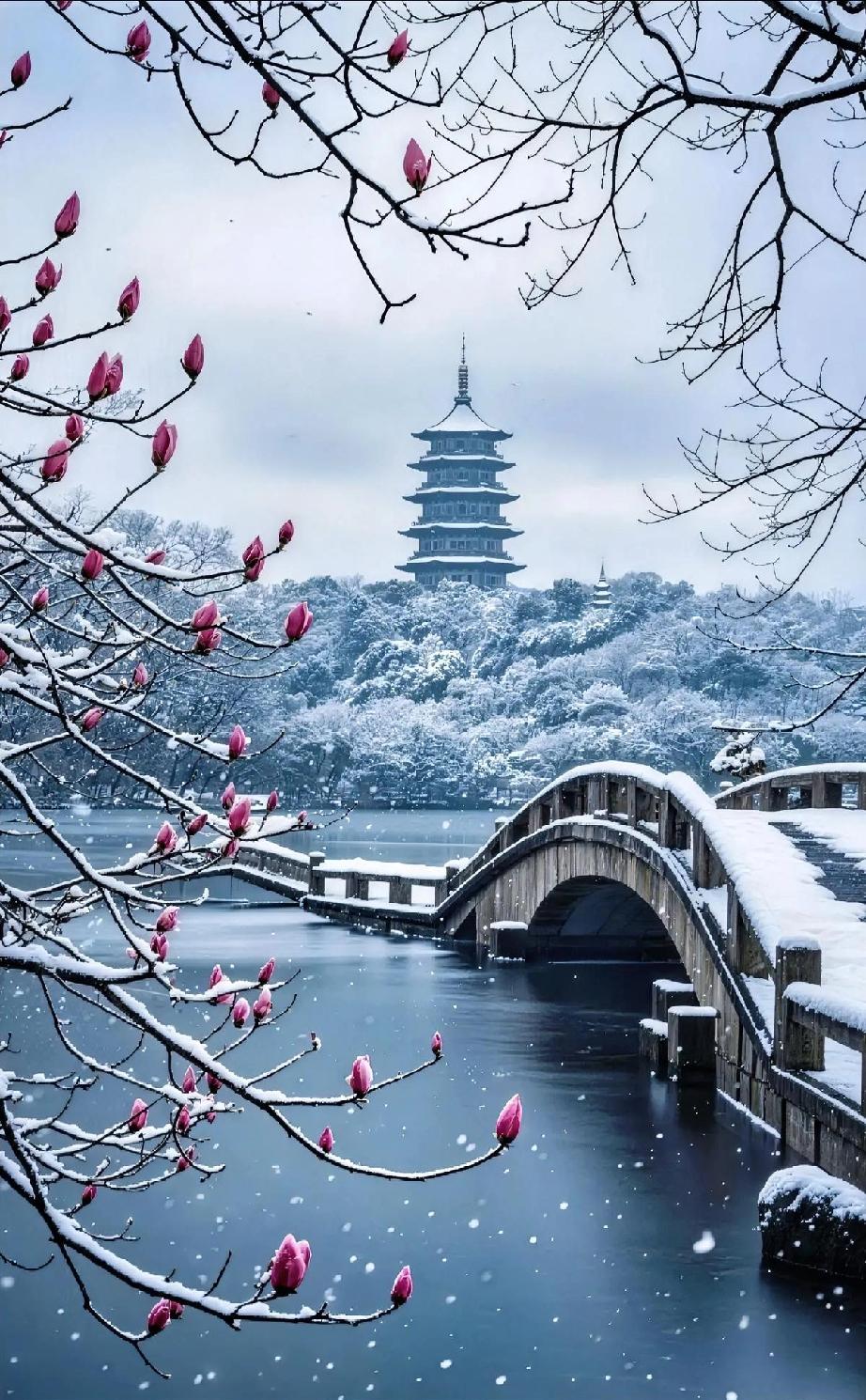 今年冬天和往年真不一样，风没那么刺骨，阳光反倒常透着暖。

往年缩家躲寒，今年爱