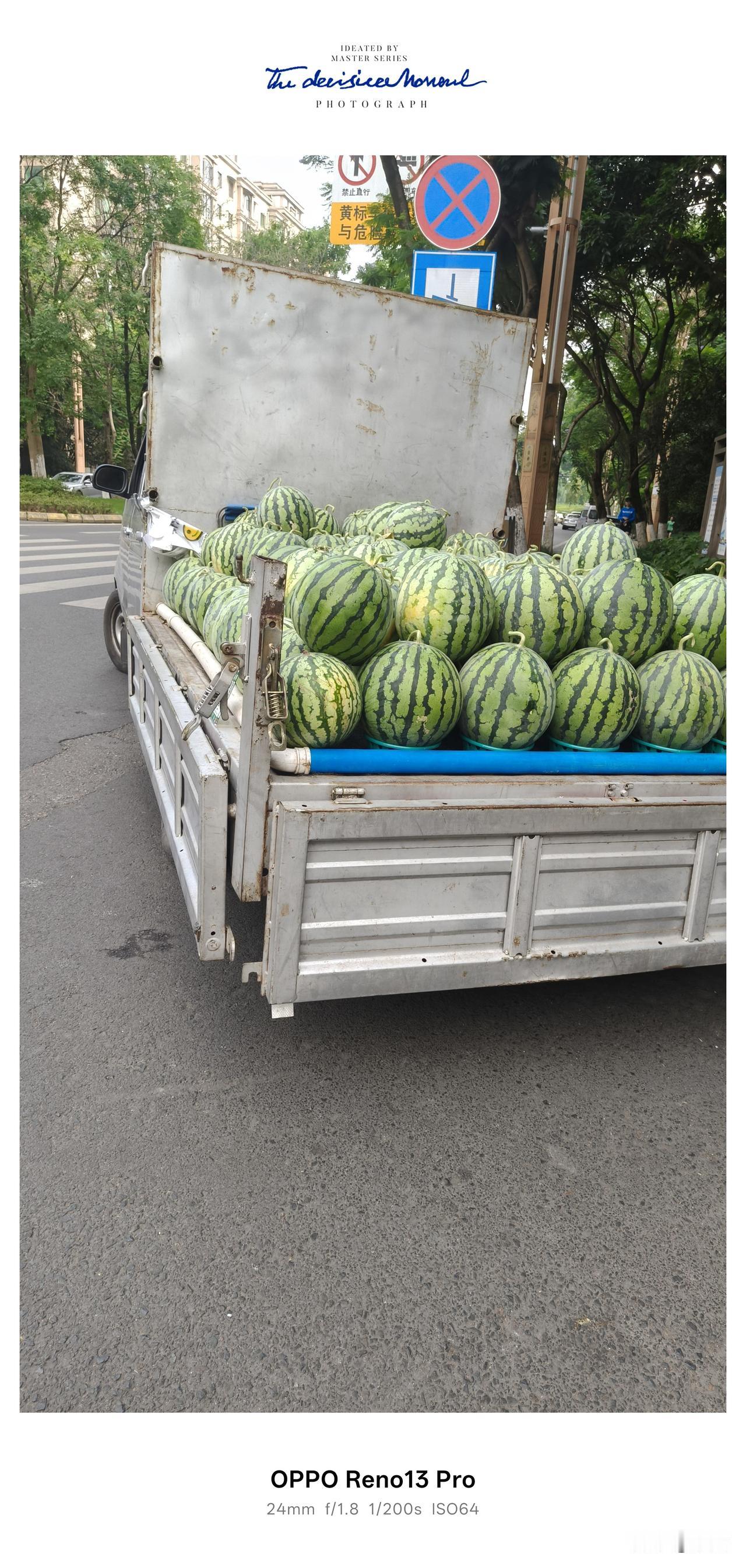 说出来不怕大家笑，我真是孤陋寡闻了！在资阳乡下的时候，地里的西瓜还在慢悠悠长苗，