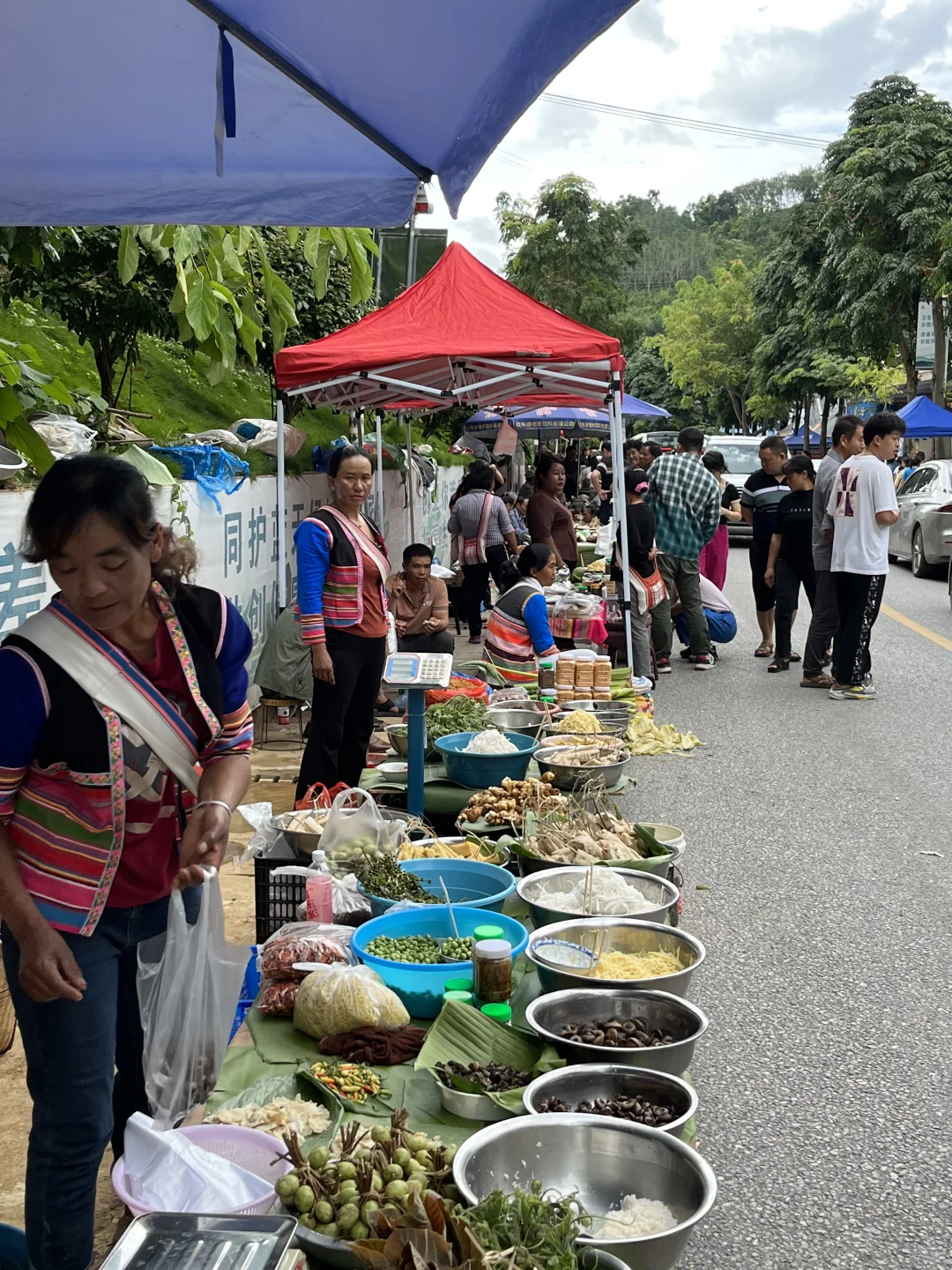 基诺少数民族村里赶集 |菠萝蜜只要20块一个