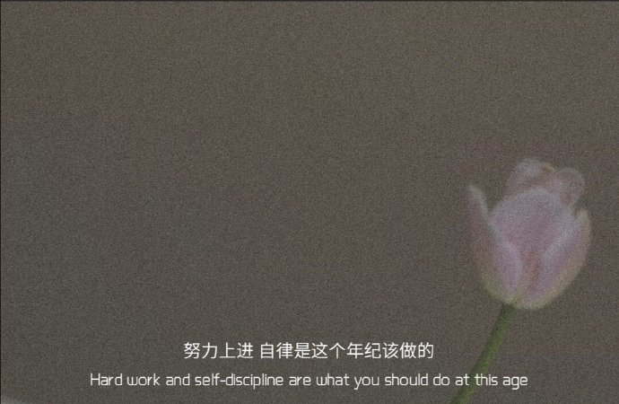 人要有自知之明，不要总是指责别人如何不好，其实，有些人就是乌鸦站在猪背上，只看到