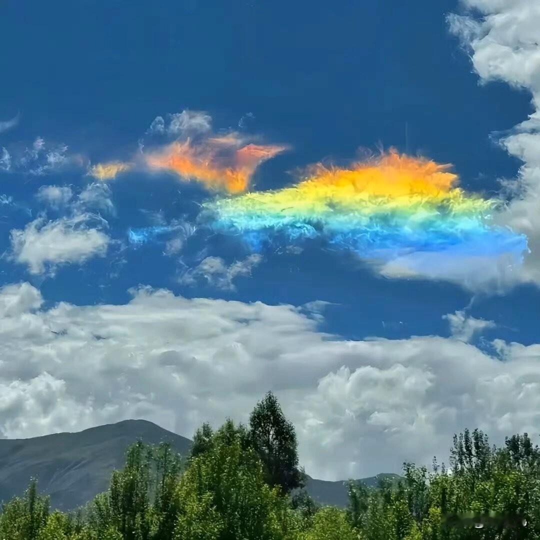 聪明老师，
都已经在准备评职称的资料了，
傻老师，
还在讲台上诲人不倦。
去年学