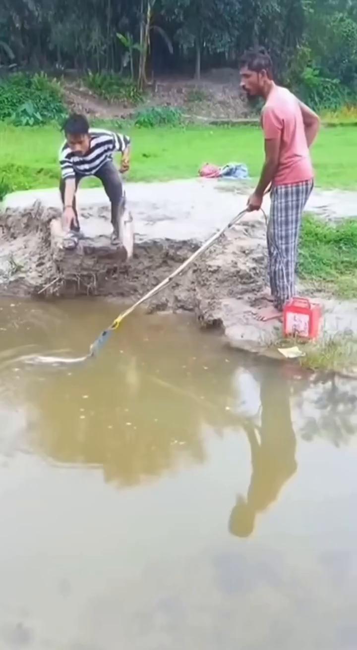 姐，这波操作太惨了。