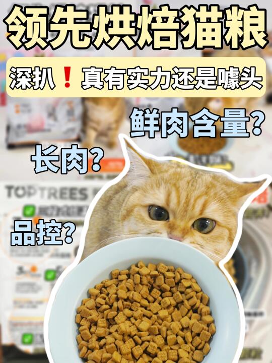 新手选粮不焦虑！猫咪长肉超轻松