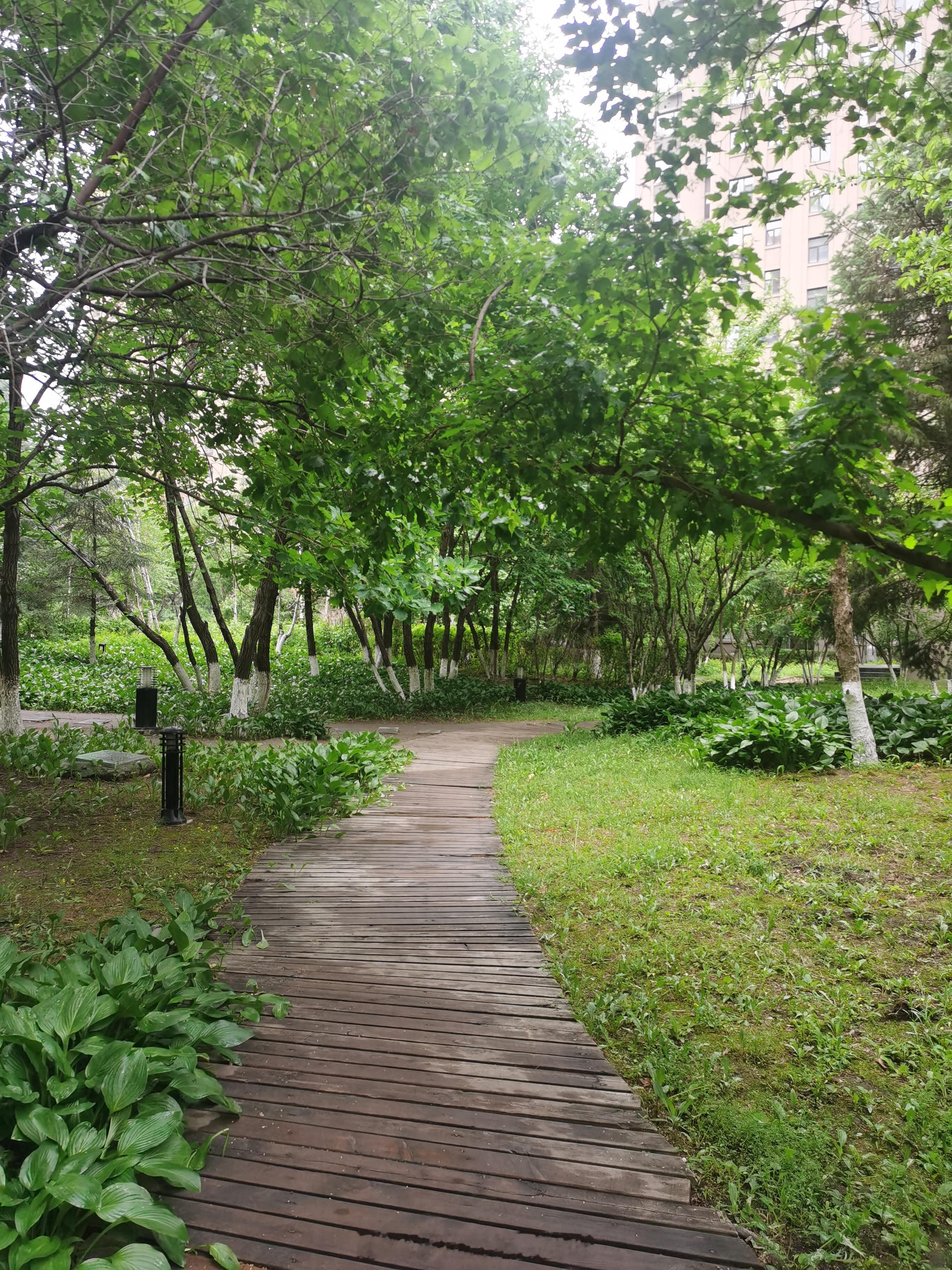 早安新的一天，推开窗，深吸一口雨后的清新空气，昨晚的雨把外面的世界洗得干干净净，