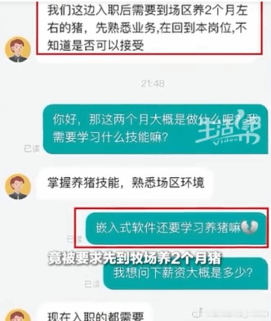 应聘程序员要先养2个月猪？企业回应:所有岗位都得养近日，牧原食品股份有限公司的入
