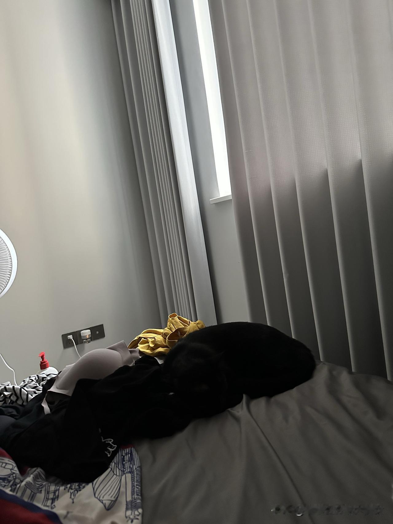 自从我的车被我停着不开活活耗完电后
我现在隔三差五就去车库发动车
然后或买菜或回