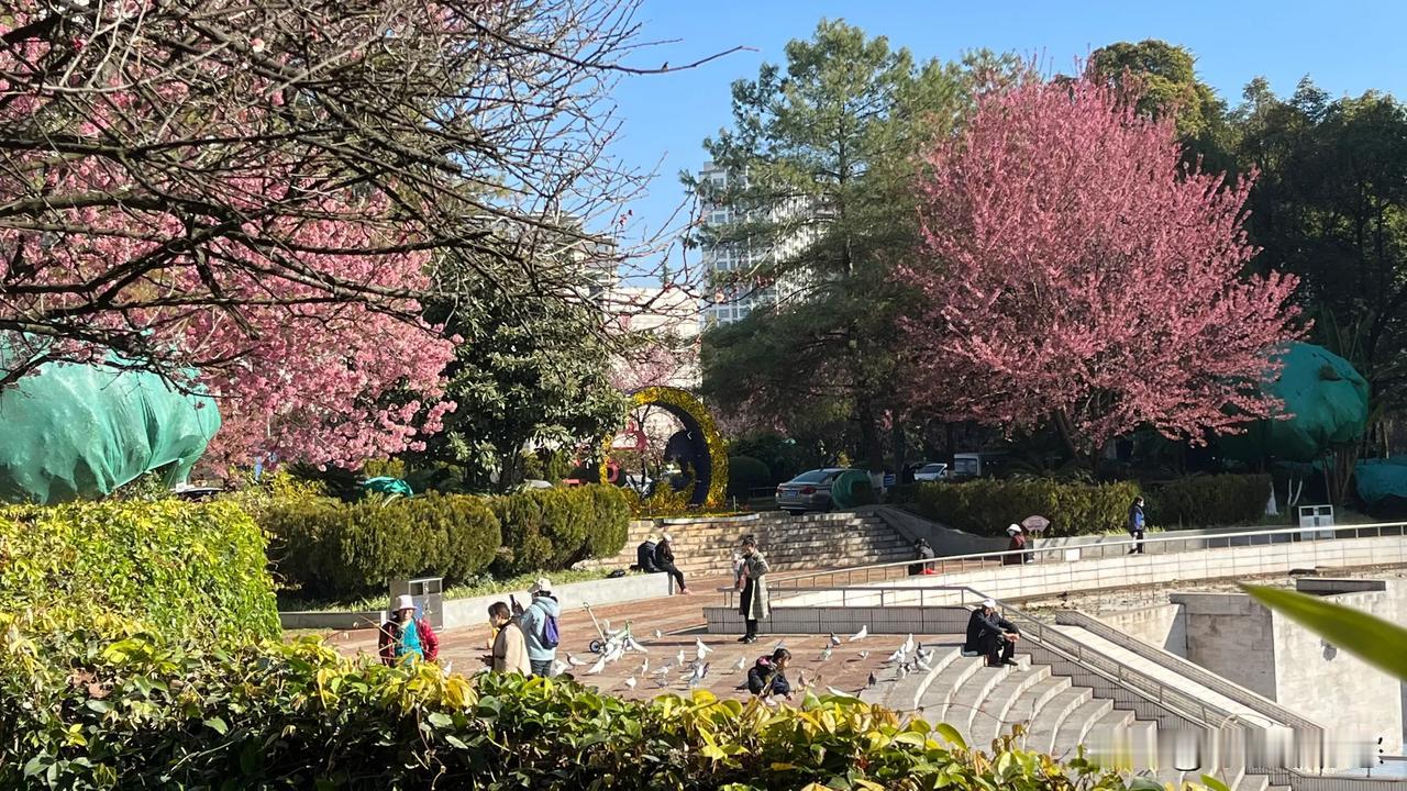 这张图片，是安宁市市政府大院，距离政府办公大楼，仅有几米，办公大楼内的情况，我们