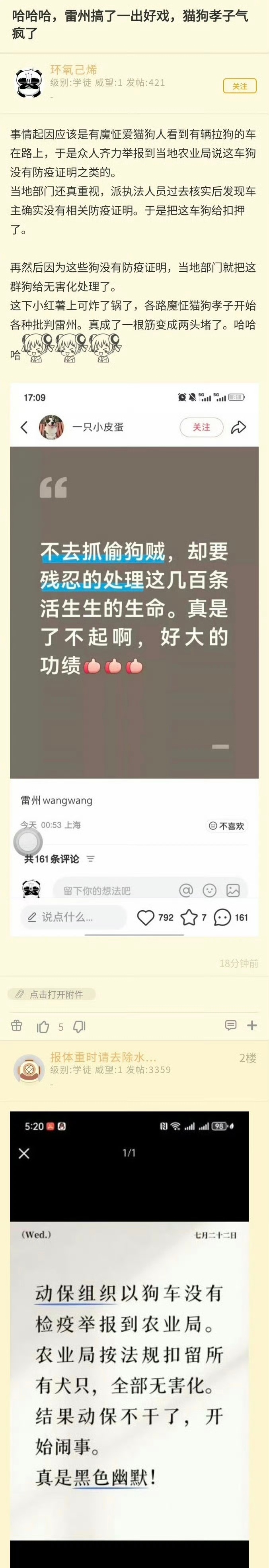 雷州做得好，在保护流浪猫狗这方面已达西方先进水平