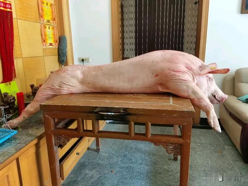 女子网上求助“按年猪”来了几百人 女子网上求助“按年猪”，几百人赶来帮忙。重庆一