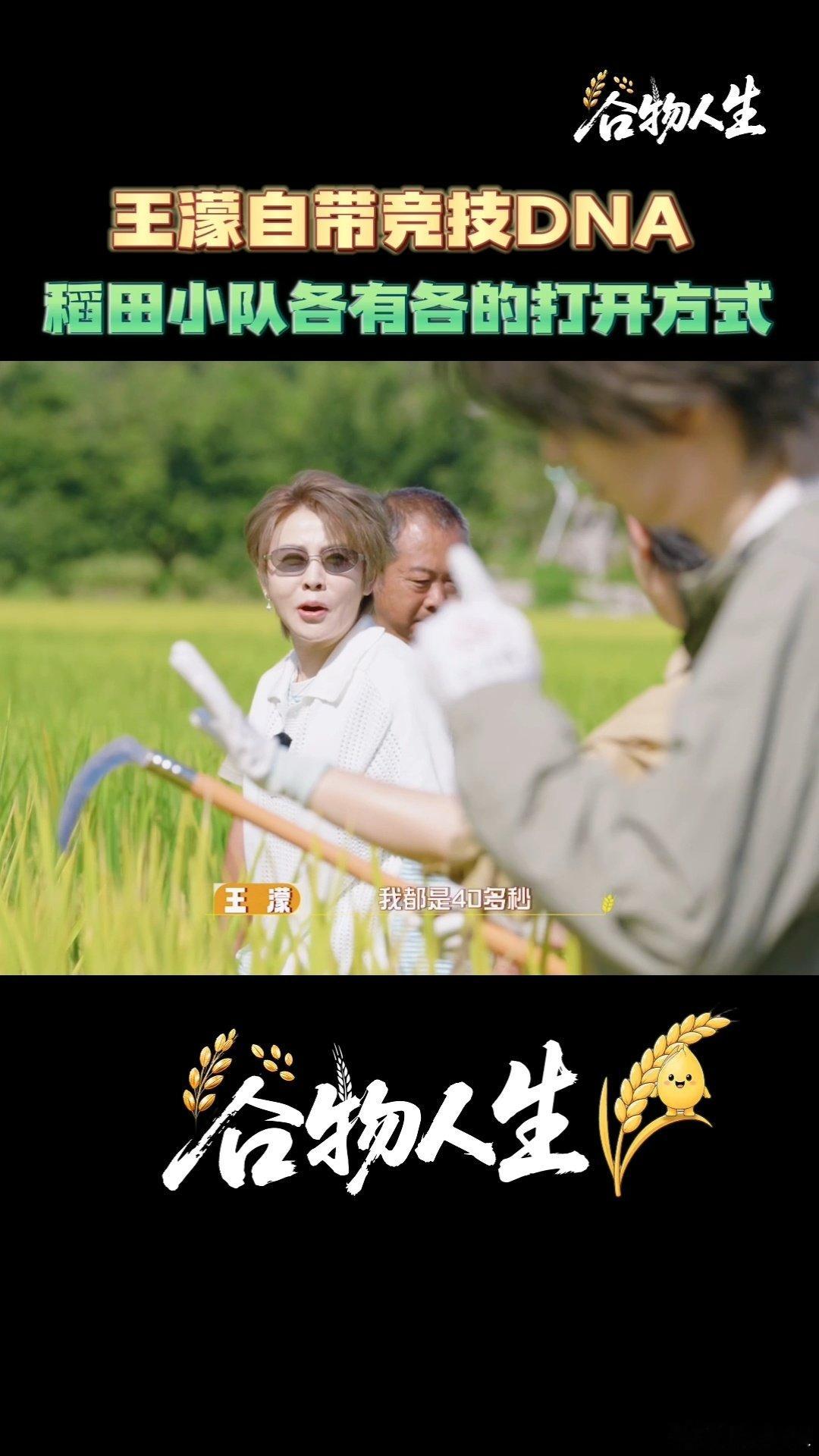 王濛从来没有打过40多秒以上的比赛王濛说自己是爆发型选手谷物人生二十分钟限时割水