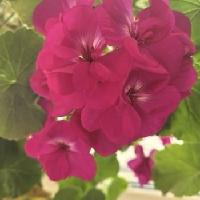 我的今日状态：😁轻松愉快
我这里的天气：☀️晴天