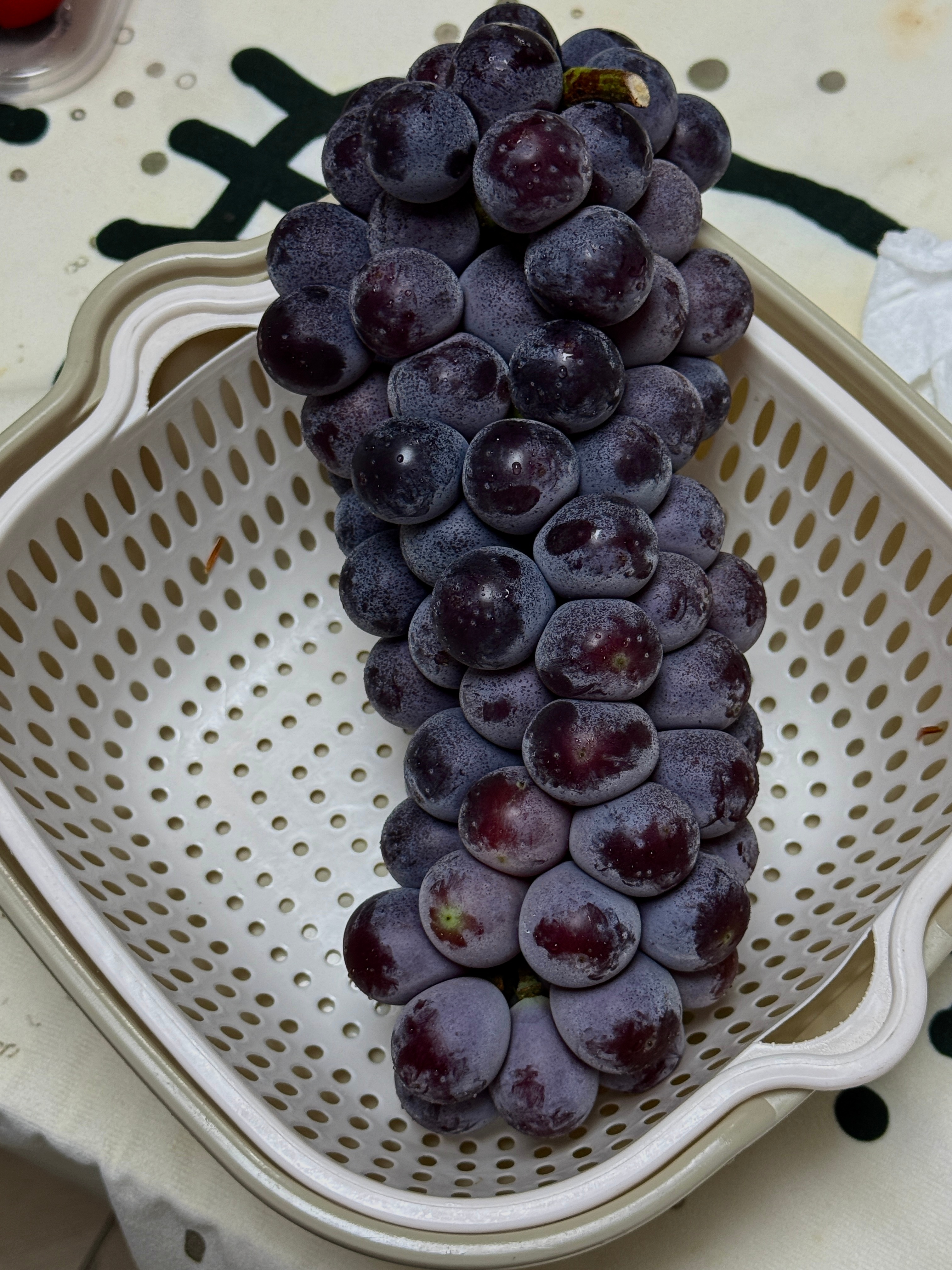 这一碗烤肉拌饭谁能扛住距离上次吃烤肉拌饭大学了巨长的熏肉大饼这个葡萄巨巨巨巨酸无