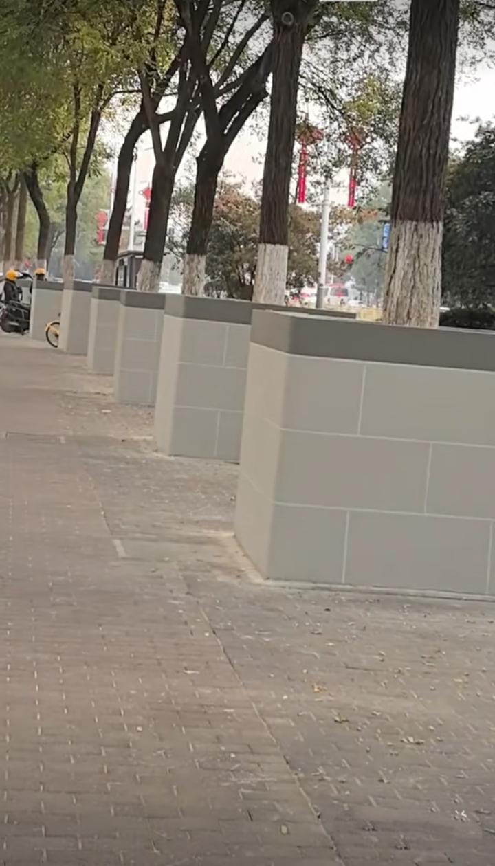 新鲜，西安给大树贴磁砖！
      西安给许多行道树贴上了磁砖。看来这是一个相